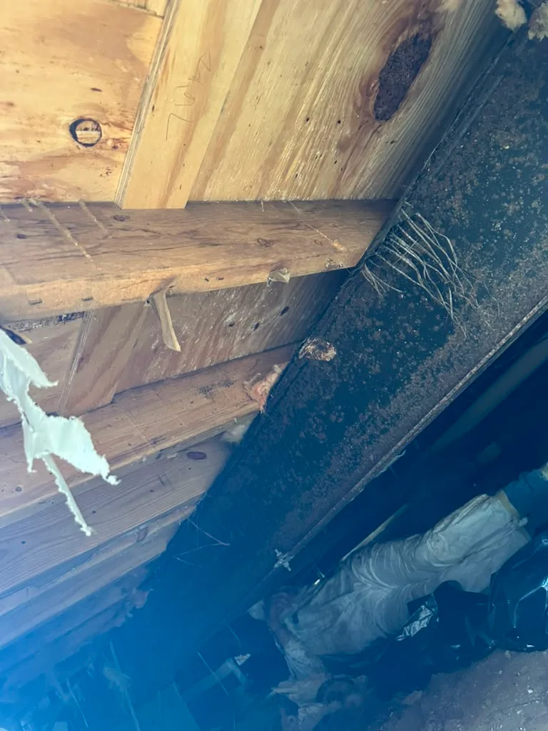Checking spray foam thickness for proper R-value coverage in a Houston attic